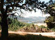 A scenic view at Annadel State Park